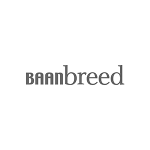 Fyff | Find Your Flex Force logo Baanbreed