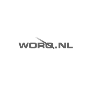 Fyff | Find Your Flex Force logo Worq.nl
