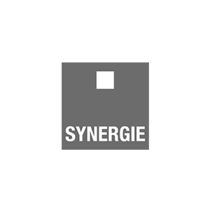 Fyff | Find Your Flex Force logo Synergie